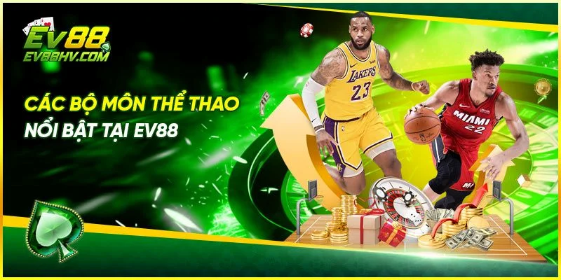 Những Đối Tác Nổi Tiếng Của EV888 Trong Sảnh Thể Thao