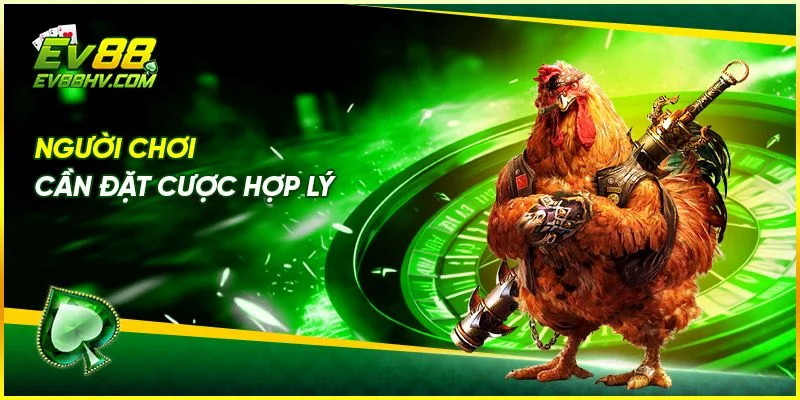 Top Loại Hình Đá Gà EV888 Không Thể Bỏ Qua