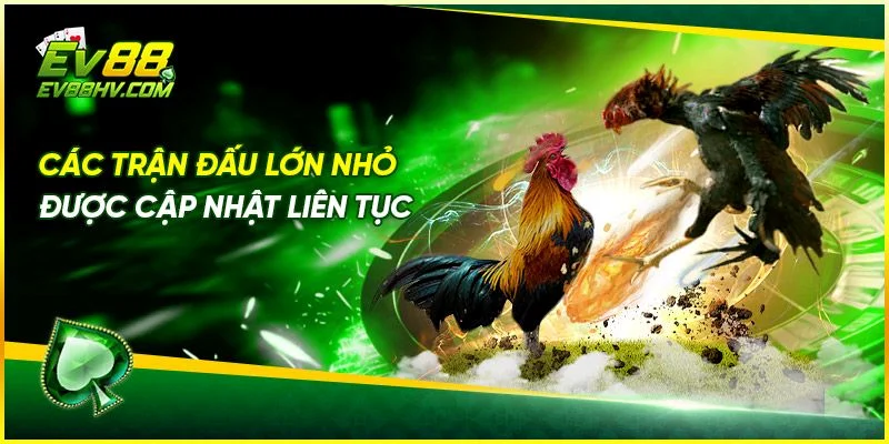 Ưu Điểm Nổi Bật Của Sảnh Đá Gà EV888